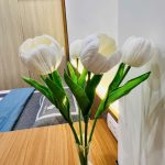 Z6090179395056_d854b5c376b44b29b291284155391edf